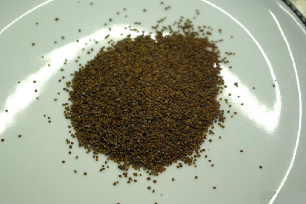 Натуральная чудо - Альгинатная маска из Тайланда из морских водорослей Fangcaodi Thailand natural seaweed filling water essence купить в Москве и Московской области. таиланд