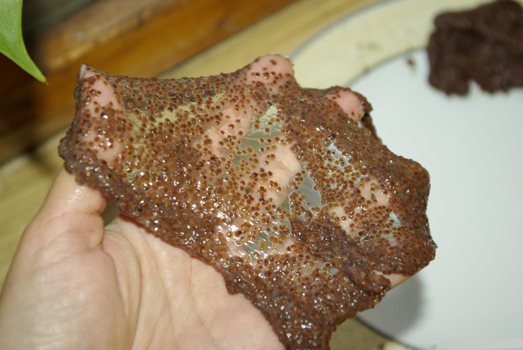 Тайская чудо - Альгинатная маска из морских водорослей FANGCAODI 15 гр. тайланд